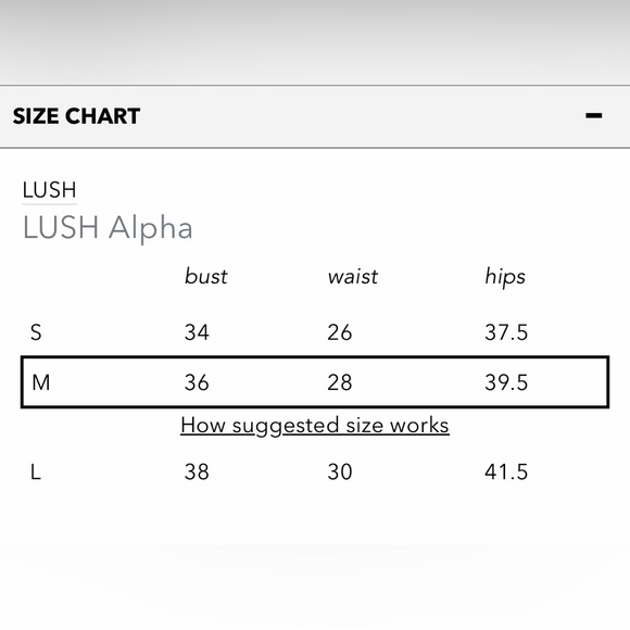 Women’s LUSH collar detail rust red colored sleeveless romper size Medium NWOT - Picture 6 of 8